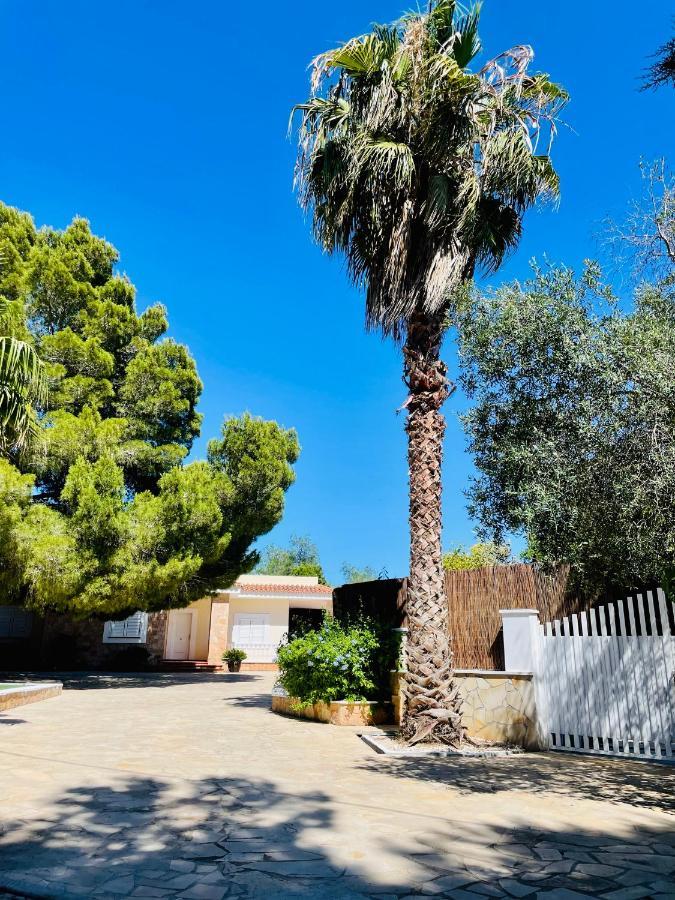 玛丽亚别墅 Sant Francesc de s'Estany 外观 照片